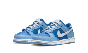 Nike Dunk Low Argon Enfant (PS) - DV2635-400 - 2