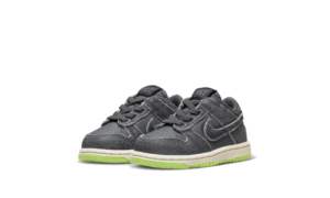 Nike Dunk Low Swoosh Shadow Iron Grey Bébé (TD) - DQ6217-001 - 2