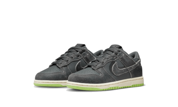 Nike Dunk Low Swoosh Shadow Iron Grey Enfant (PS) - DQ6216-001 - 2
