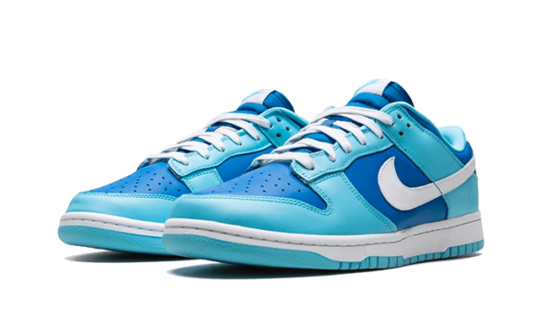 Nike Dunk Low Argon - DM0121-400 - 2
