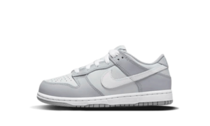 Nike Dunk Low Two-Toned Grey Enfant (PS) - DH9756-001 - 1