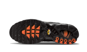 Nike Air Max Plus 3D Swoosh Black - DR0138-001 - 3