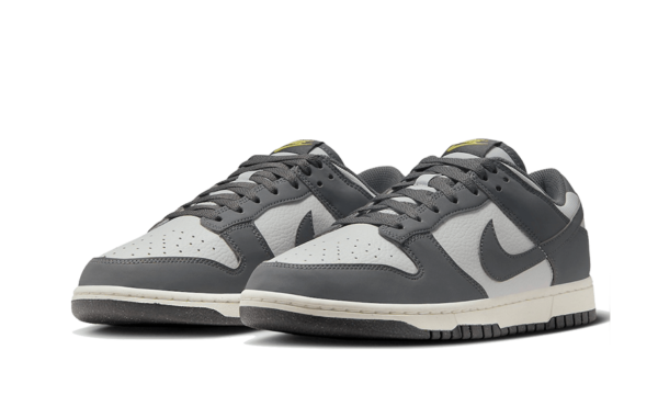 Nike Dunk Low Next Nature Iron Grey Lightning - FZ4621-001 - 2
