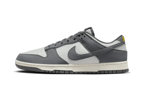 Nike Dunk Low Next Nature Iron Grey Lightning - FZ4621-001 - 1
