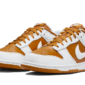 Nike Dunk Low Reverse Curry - FQ6965-700 - 2