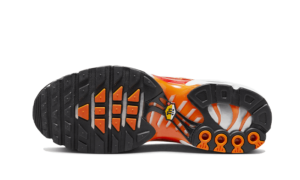 Nike Air Max Plus Light Photography - DZ3531-600 - 3