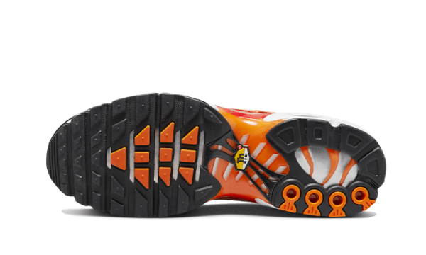 Nike Air Max Plus Light Photography - DZ3531-600 - 3