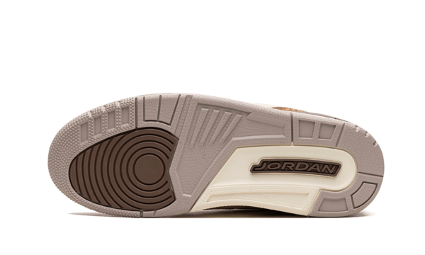 Air Jordan 3 Palomino - CT8532-102 / DM0967-102 - 4