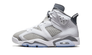 Air Jordan 6 Cool Grey - 384665-100 / CT8529-100 - 1