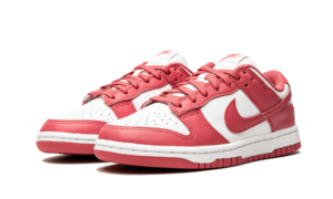 Nike Dunk Low Archeo Pink - DD1503-111 - 2