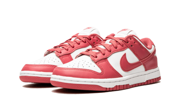 Nike Dunk Low Archeo Pink - DD1503-111 - 2