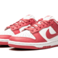 Nike Dunk Low Archeo Pink - DD1503-111 - 2