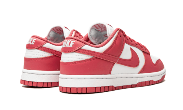 Nike Dunk Low Archeo Pink - DD1503-111 - 3