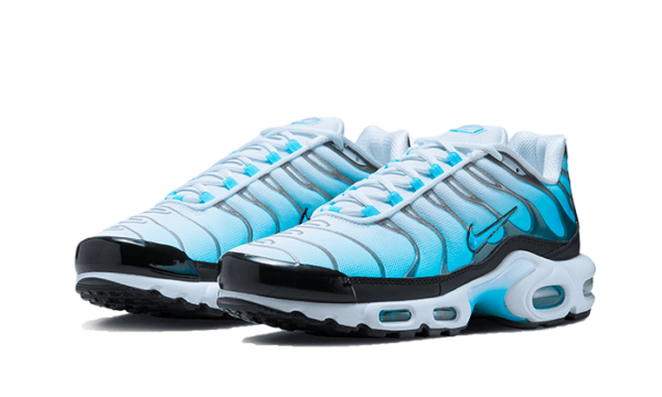 Nike Air Max Plus Baltic Blue - FD9751-100 - 2