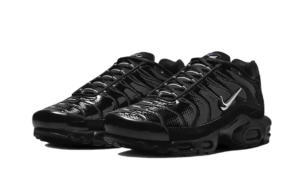 Nike Air Max Plus Black Volt Silver - FJ2591-001 - 2
