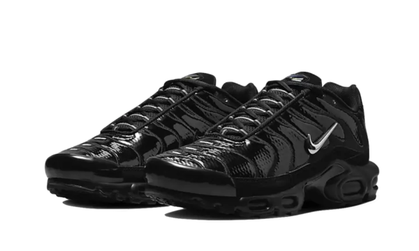 Nike Air Max Plus Black Volt Silver - FJ2591-001 - 2