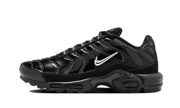 Nike Air Max Plus Black Volt Silver - FJ2591-001 - 1