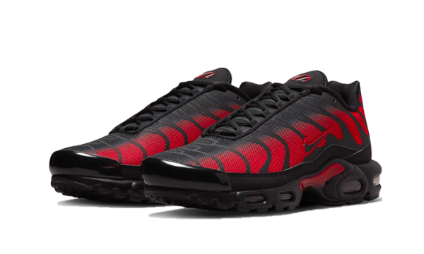 Nike Air Max Plus Bred Reflective - DZ4507-600 - 2