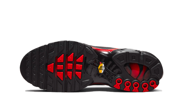 Nike Air Max Plus Bred Reflective - DZ4507-600 - 3