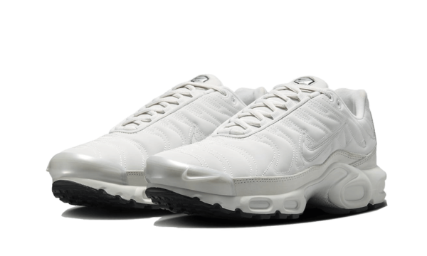 Nike Air Max Plus Reflective Platinum - FZ4342-001 - 2