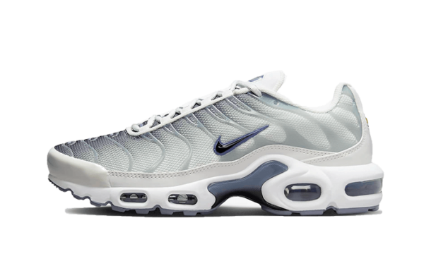 Nike Air Max Plus Sail Grey - FQ2892-100 - 1