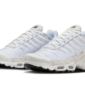 Nike Air Max Plus Sail Pure Platinum Silver - FN7813-001 - 2