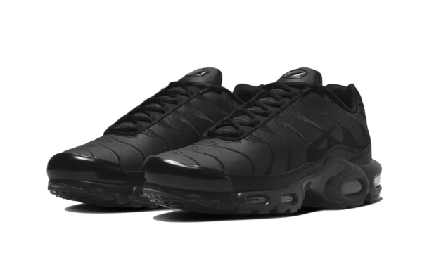 Nike Air Max Plus Triple Black Leather - AJ2029-001 - 2