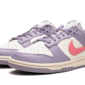 Nike Dunk Low Indigo Haze - DD1503-500 - 2