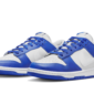 Nike Dunk Low Kentucky Alternate - FN3416-001 - 2