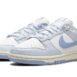 Nike Dunk Low Next Nature Blue Tint - DD1873-400 - 2