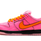 Nike SB Dunk Low The Powerpuff Girls Blossom - FD2631-600 - 1