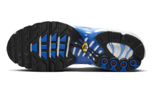 Nike Air Max Plus Light Photography Old Royal - DZ3531-400 - 3
