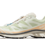Salomon XT-6 Aloe Wash Feather Grey - L47293700 - 1