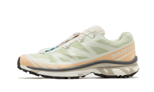 Salomon XT-6 Aloe Wash Feather Grey - L47293700 - 1
