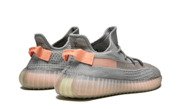 Adidas Yeezy Boost 350 V2 True Form - EG7492 - 3
