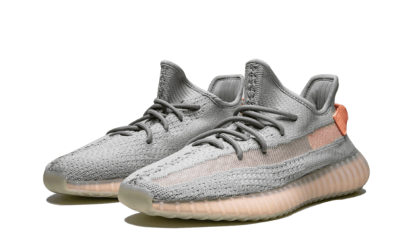 Adidas Yeezy Boost 350 V2 True Form - EG7492 - 2