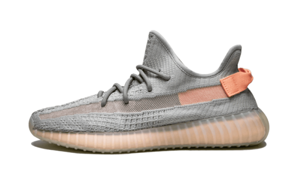 Adidas Yeezy Boost 350 V2 True Form - EG7492 - 1