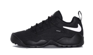 Nike SB Darwin Low Supreme Black - FQ3000-001 - 1